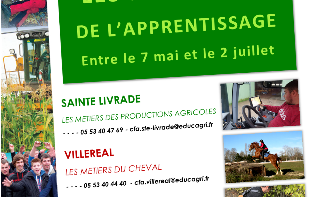 LES MERCREDIS DE L’APPRENTISSAGE – CONTACTEZ-NOUS !