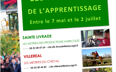 LES MERCREDIS DE L’APPRENTISSAGE – CONTACTEZ-NOUS !
