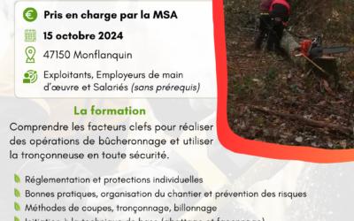 Formation à l’utilisation de la tronçonneuse en sécurité