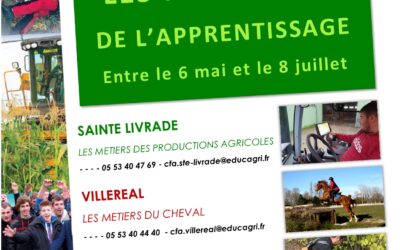 LES MERCREDIS DE L’APPRENTISSAGE – CONTACTEZ-NOUS !